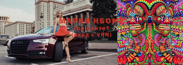 прущие грибы Осинники