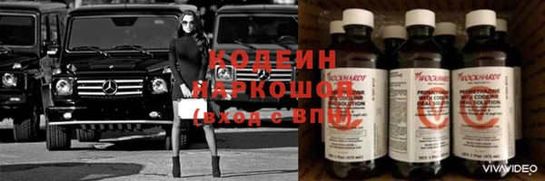 прущие грибы Осинники