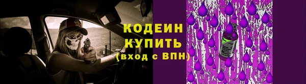 прущие грибы Осинники