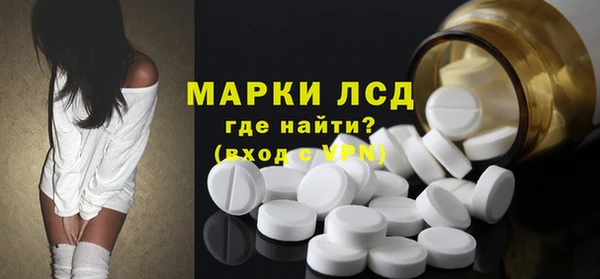 прущие грибы Осинники