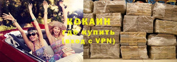 прущие грибы Осинники