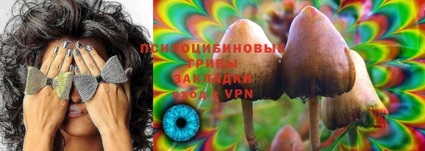 прущие грибы Осинники