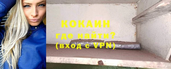 прущие грибы Осинники