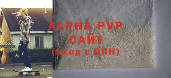 прущие грибы Осинники