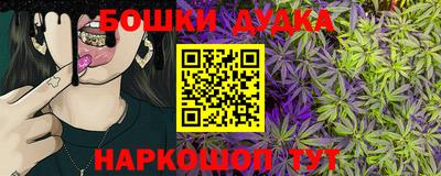 шишки Абакан