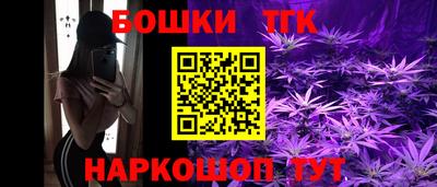 шишки Абакан