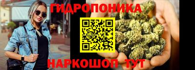 шишки Абакан