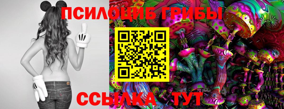 Галлюциногенные грибы Cubensis  закладки  Абинск 