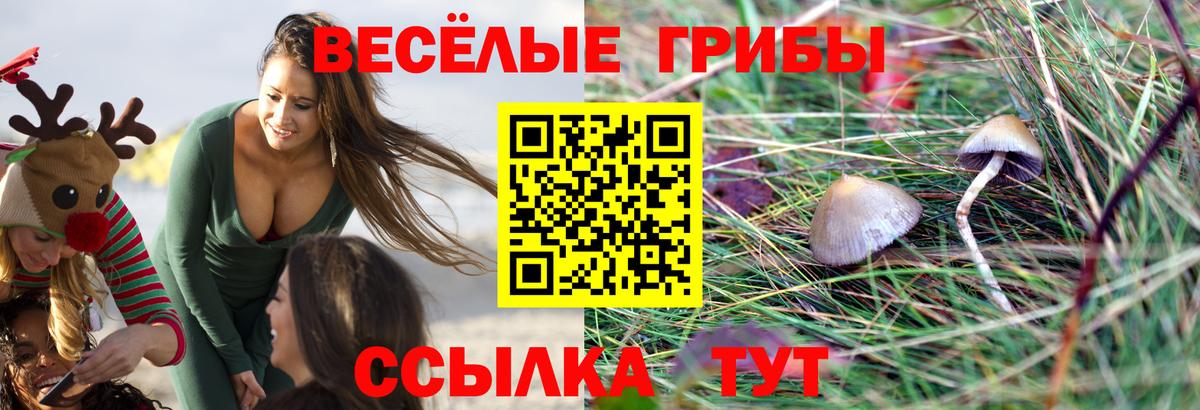 Абинск  Галлюциногенные грибы мухоморы  Вход с VPN 