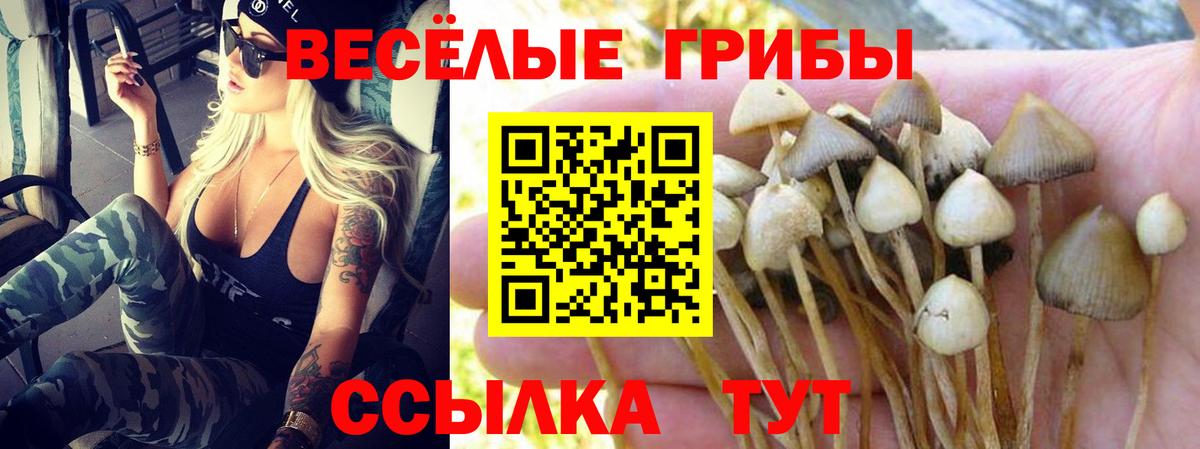 A PVP Абинск