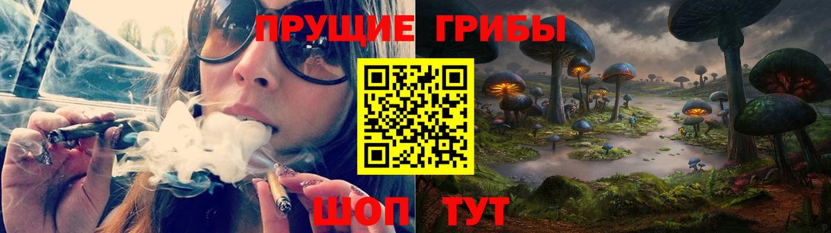 Галлюциногенные грибы Cubensis Абинск